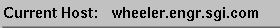 Figure 4-4 xlvm Current Host Display