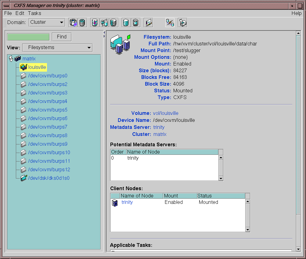 Window Showing the Metadata Server