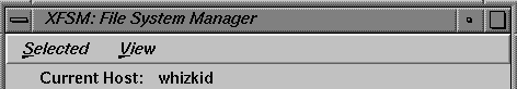 Figure 3-2 xfsm Current Host Display