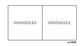 An unformatted record with two integer values