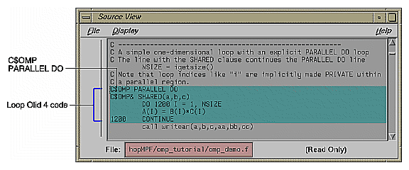 Figure 2-16 Source View of C$OMP PARALLEL DO Directive 