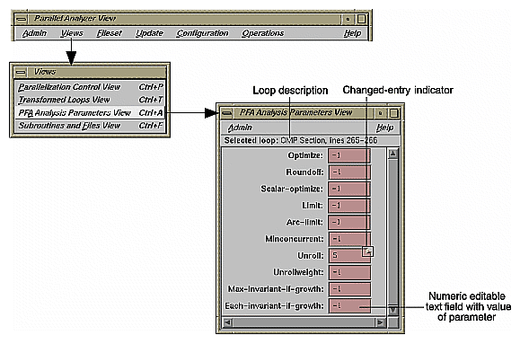 Figure 4-29 PFA Analysis Parameters View 