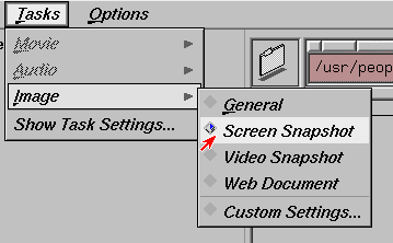 Figure 1-5 Choosing a Task