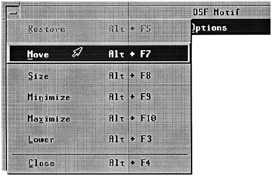 Figure 9-52 
A Window Menu