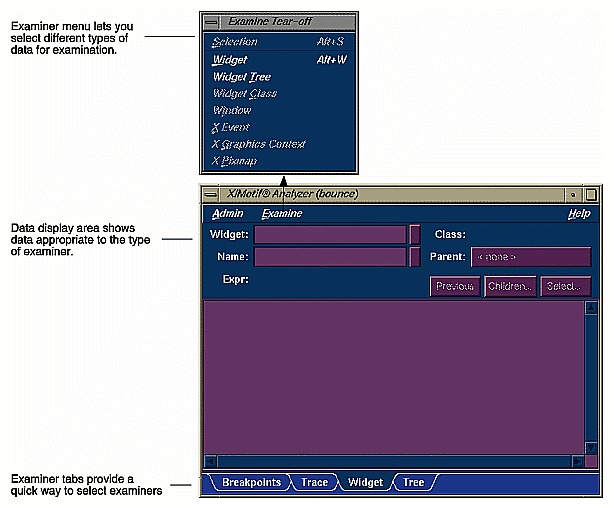 The X/Motif Analyzer
Window