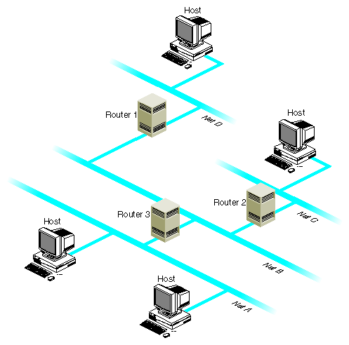 Network With Multicast Routers