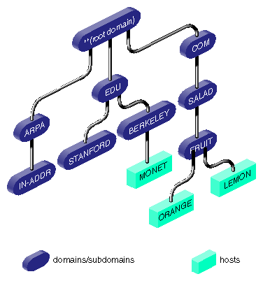 Partial View of Domain Name Space