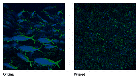 Figure 4-21 Edge Image Produced by ilRobertsImg