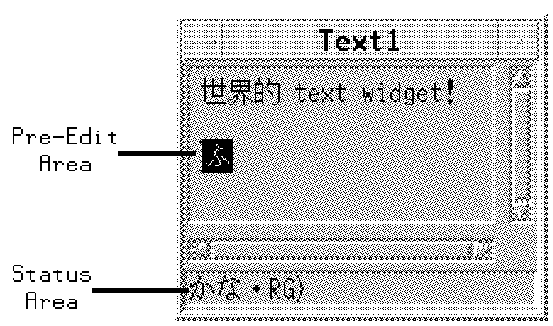 Figure 11-5 
Text Widget Pre-Edit Area After Next Character Entry