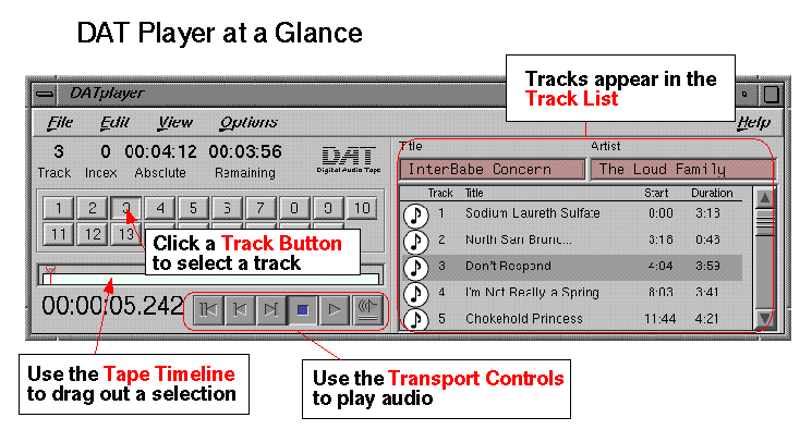 DAT Player at a Glance (Click Image For Enlarged View)