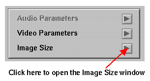 The Image Size Button