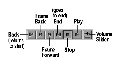 Movie Maker Transport Controls