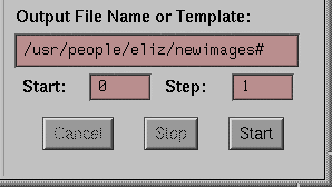 Creating Image Sequences: Entering the Output Template Info