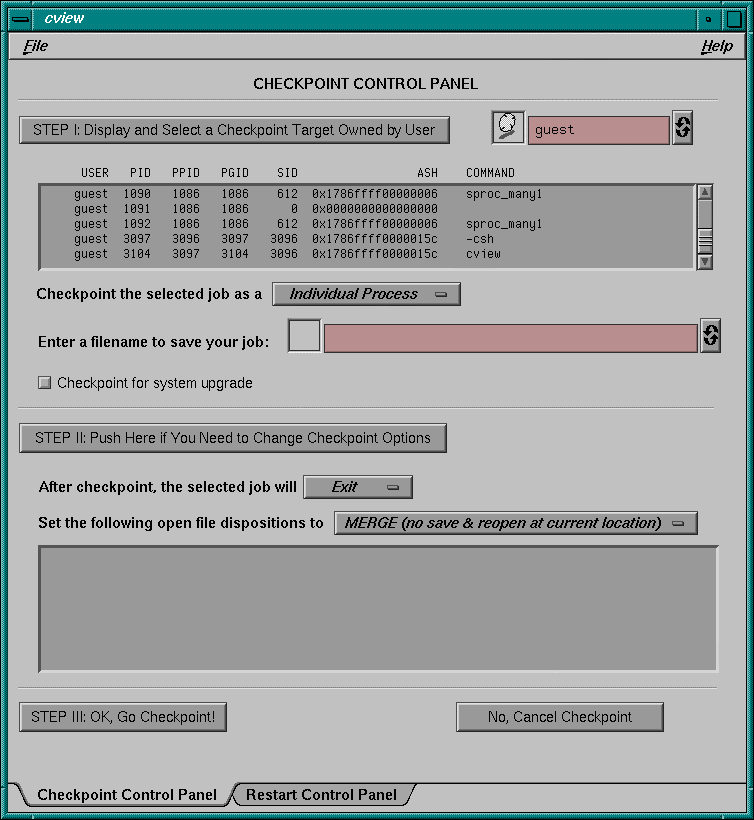 Checkpoint Control Panel (cview)