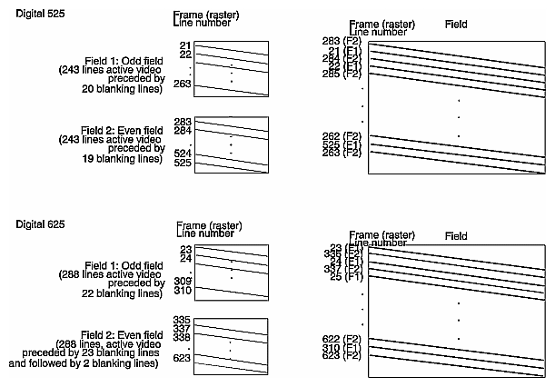 DIVO/DIVO-DVC 525-Line and 625-Line Frames and Fields 