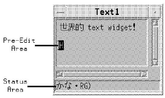 Figure 11-4 
Text Widget Pre-Edit and Status Areas Using Over-the-Spot