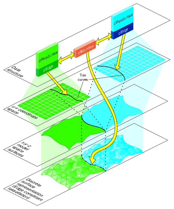 Consistently Tessellated Adjacent Surfaces and Related Objects