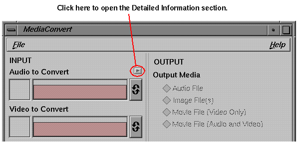 Opening the Detailed Information Section