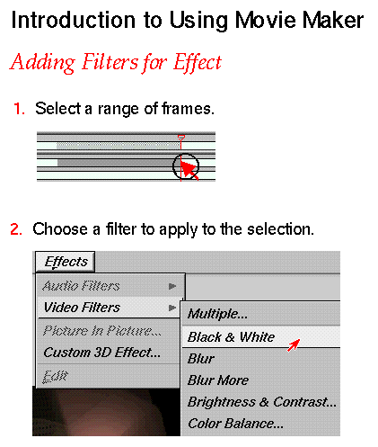 Visual Introduction: Adding Filters for Effect (Click Image to Display Enlarged View)