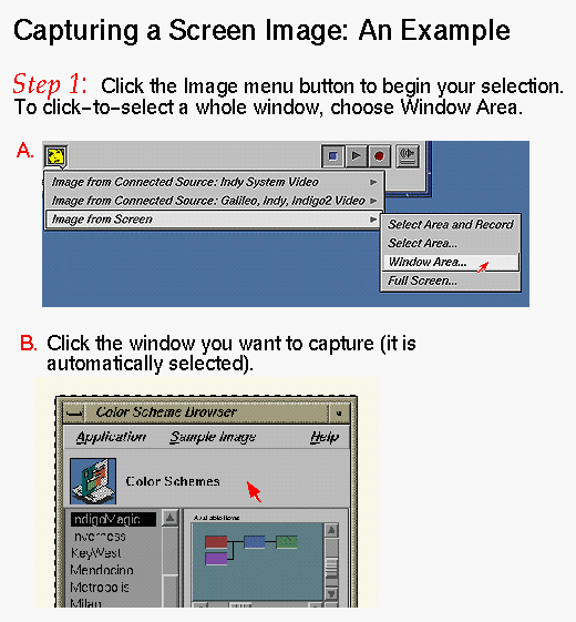 Capturing a Screen Image: Step 1 (Click to Display Enlarged View)