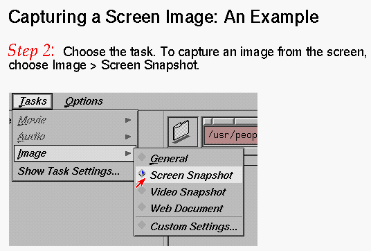 Capturing a Screen Image: Step 2 (Click to Display Enlarged View)