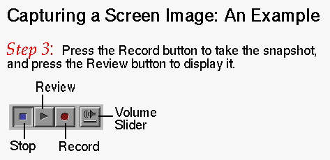 Capturing a Screen Image: Step 3 (Click to Display Enlarged View)