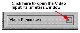 Opening the Input Video Parameters 