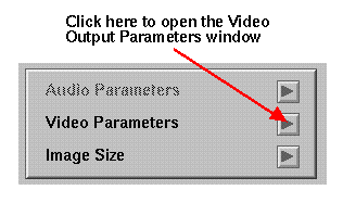 The Video Output Parameters Button